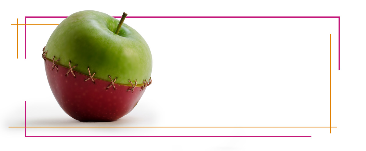 Horse Graphic - Créativité